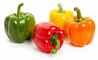 Seedshub Capsicum seeds Seed(30 per packet)
