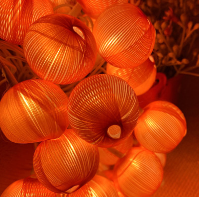 Ascension 20 LEDs 5 m Orange Steady String Rice Lights(Pack of 1)