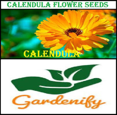 Advance CALENDULA Seed(50 per packet)