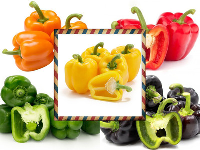 ALPINE HYBRID SEEDS CAPSICUM, BELL PEPPER Seed(70 per packet)