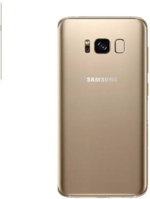 PanelZone Samsung Galaxy S8 Back Panel(Gold)