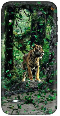 aadia Apple iPhone XR Mobile Skin(Multicolor)
