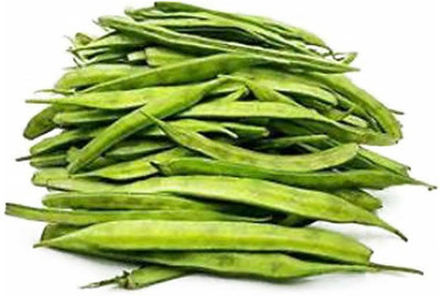 VibeX CLUSTER BEANS, GUAR PHALI Seed(25 per packet)