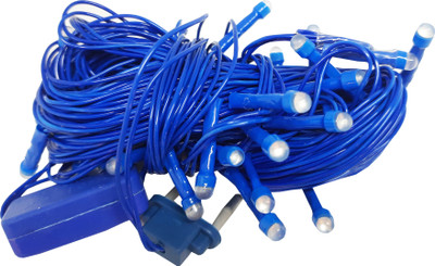 Ascension 28 LEDs 12 m Blue Steady String Rice Lights(Pack of 2)