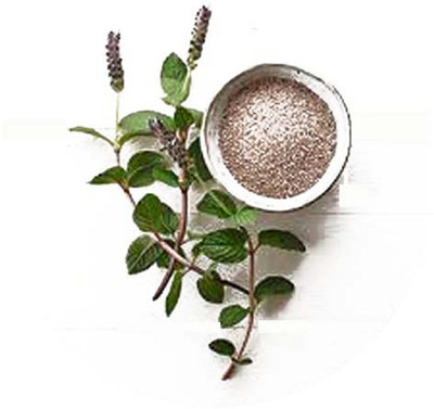VibeX CHIA SEEDS, MICROGREEN Seed(350 per packet)