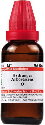 Dr.Willmar Schwabe India Hydrangea Arborescens Q Mother Tincture(4 x 30 ml)