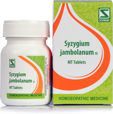 Dr.Willmar Schwabe India Syzygium Jambolanum Tablets(4 x 20 g)