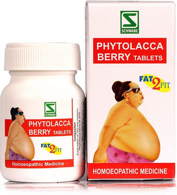 Dr.Willmar Schwabe India Phytolacca Berry Tablets(2 x 80 g)