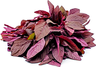 Greenwill Red Amaranth Seed(200 per packet)