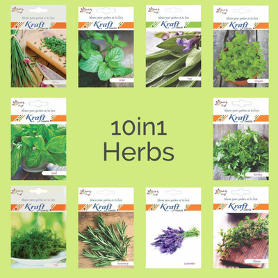 CRGO BASIL , TULSI Seed(5 per packet)