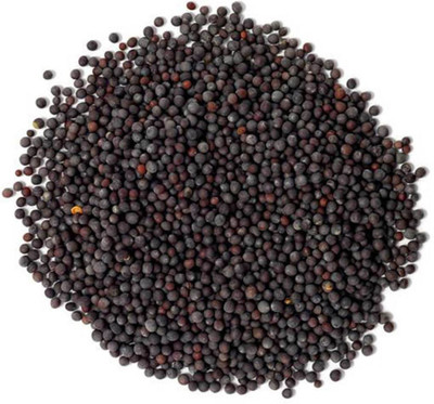Somadev Kali Sarso Seed(250 per packet)