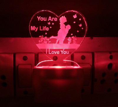 UKANI Picture Light Wall Lamp With Bulb