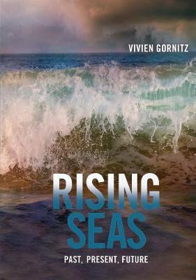 Rising Seas(English, Hardcover, Gornitz Vivien)