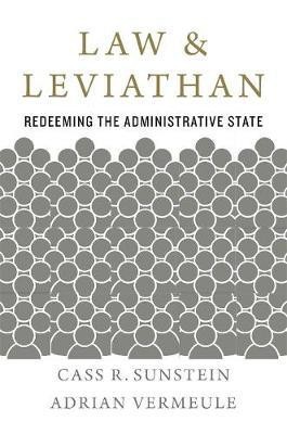 Law and Leviathan(English, Hardcover, Sunstein Cass R.)