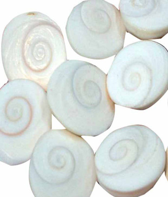 Djuize Energized Seashell Gomati Chakra for Lakshmi Pooja,and Wealth,Luck,Astrological Shankh 1cm- Set of 21 Stoneware Yantra