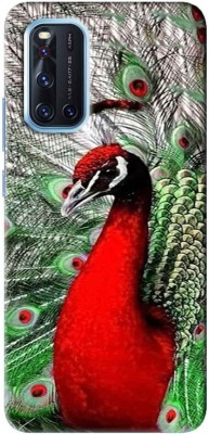 NDCOM Back Cover for VIVO V19 Red Peacock Bird Printed(Multicolor, Hard Case, Pack of: 1)