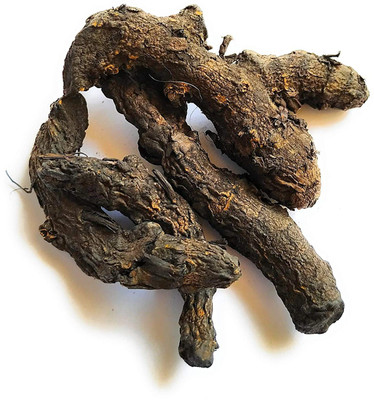 Shyamkripa creation Kali Haldi Seed(1 per packet)