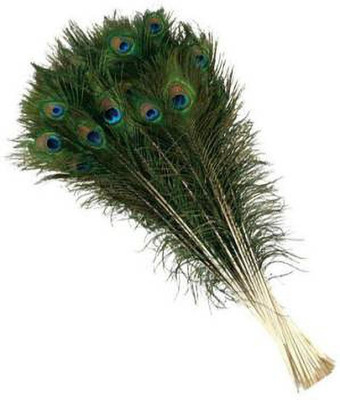 Rameshwars Pack of 21 Decorative Feathers(28 Peacock Feather)