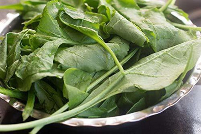 Paudha Palak spinach Seed(35 per packet)