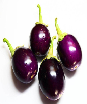 XOLDA Brinjal Chu Chu Seed(38 per packet)
