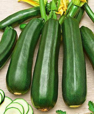 VINAYAKAUSHADHI Squash/Zucchini Long Green Seed(100 per packet)