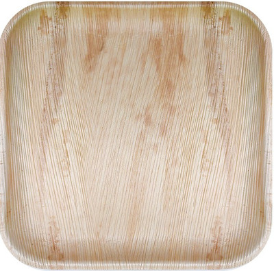 Woodka Disposable 10 inch Square Plate Dinner Plate(25 Dinner Plate)