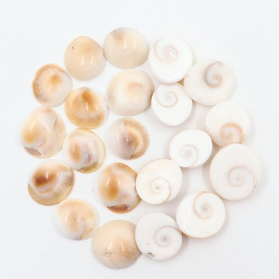 Somadev Decorative Showpiece  -  0.5 cm(Stone, White)