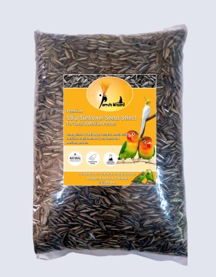 Parrots Wizard Small size Strip Sunflower seeds 1.8 kg Dry New Born, Young, Adult, Senior Bird Food