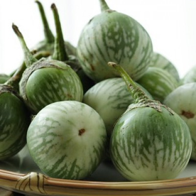 Paudha Brinjal Green Seed(53 per packet)