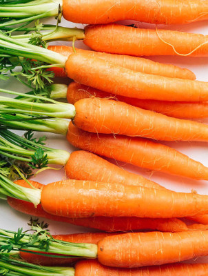 sporos Carrot Seed(40 per packet)