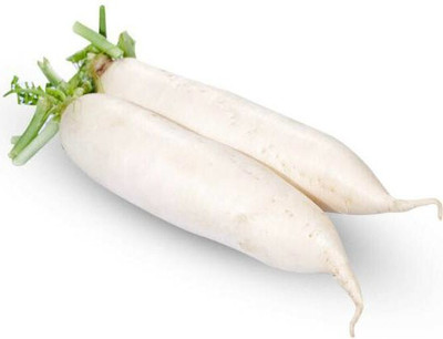 Paudha Radish Seed(50 per packet)