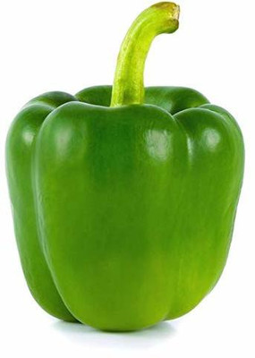 Paudha Green Capsicum (shimla mirch) Seed(55 per packet)