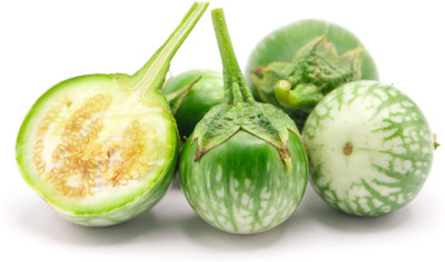 Paudha Brinjal Green Seed(25 per packet)