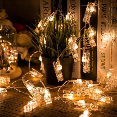 FStyler 20 LEDs 5 m Gold Steady String Rice Lights(Pack of 1)