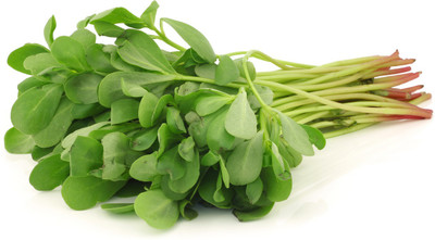 Paudha Kulfa/Purslane Seed(16 per packet)