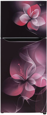 LG 260 L Frost Free Double Door 2 Star (2020) Refrigerator(Purple Dazzle, GLN292DPDY)