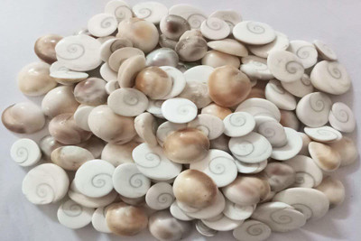 UNIQ WORLD Gomti Chakra/Gomati Chakra Small Size (51 PCS) Regular Rectangular Marble Stone(White 51 Pieces)