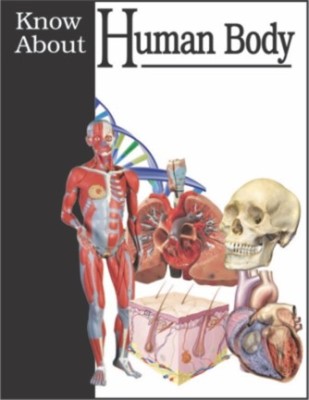 Human Body(English, Paperback, unknown)