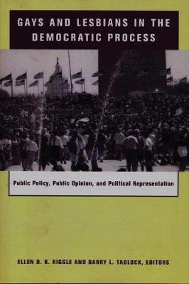 Gays and Lesbians in the Democratic Process(English, Hardcover, unknown)