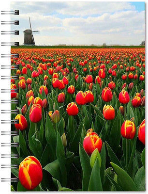 Family store Notepad A4 Notebook Ruled 500 Pages(Multicolor)
