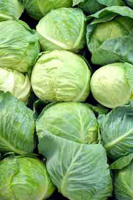 Kofy Cabbage Seed(40 per packet)