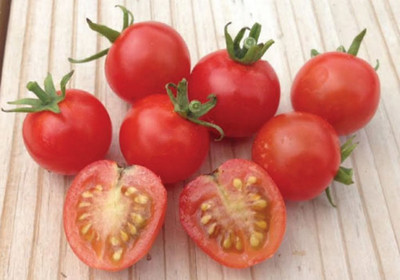 Kofy Tomato Seed(40 per packet)