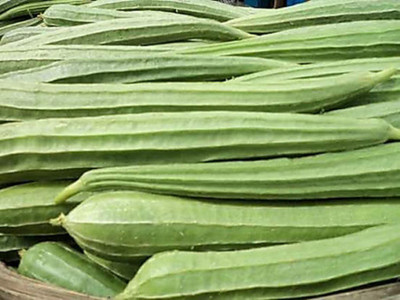 Kofy Ridge gourd Seed(50 per packet)