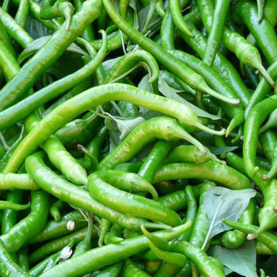 Kofy Green chilli Seed(50 per packet)