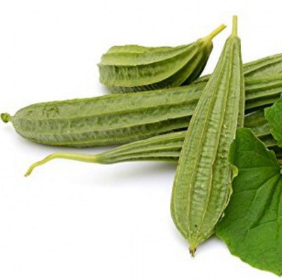 Kofy Ridge gourd Seed(40 per packet)