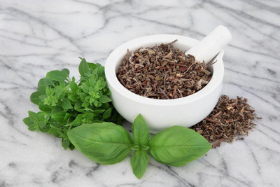 Paudha Tulsi Seed(25 per packet)