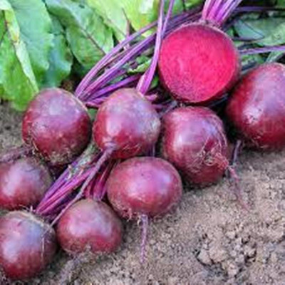 Kofy Beetroot Seed(10 per packet)