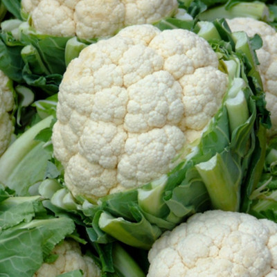Kofy Cauliflower Seed(40 per packet)