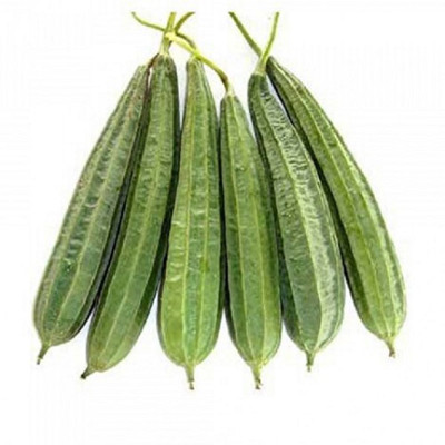 Kofy Ridge gourd Seed(20 per packet)