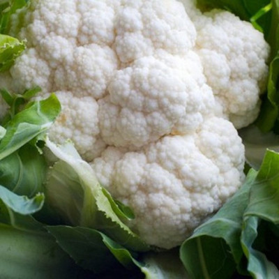 Kofy Cauliflower Seed(10 per packet)